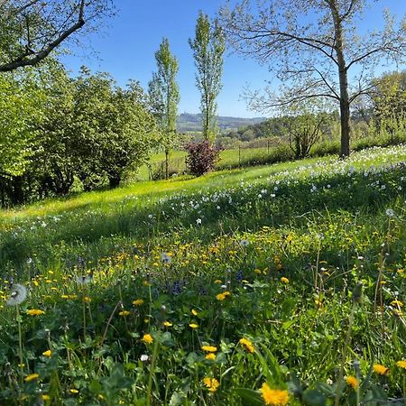 Bed and Breakfast Bergerie Montjustin Екстер'єр фото