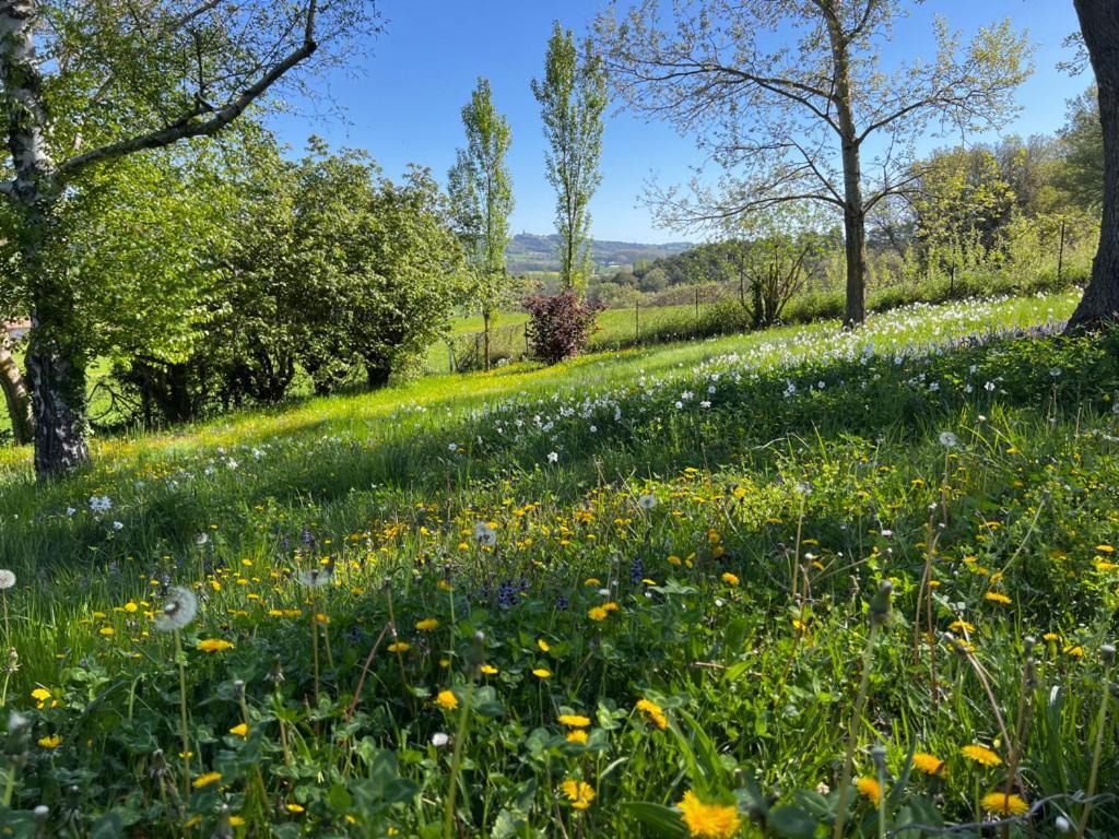 Bed and Breakfast Bergerie Montjustin Екстер'єр фото